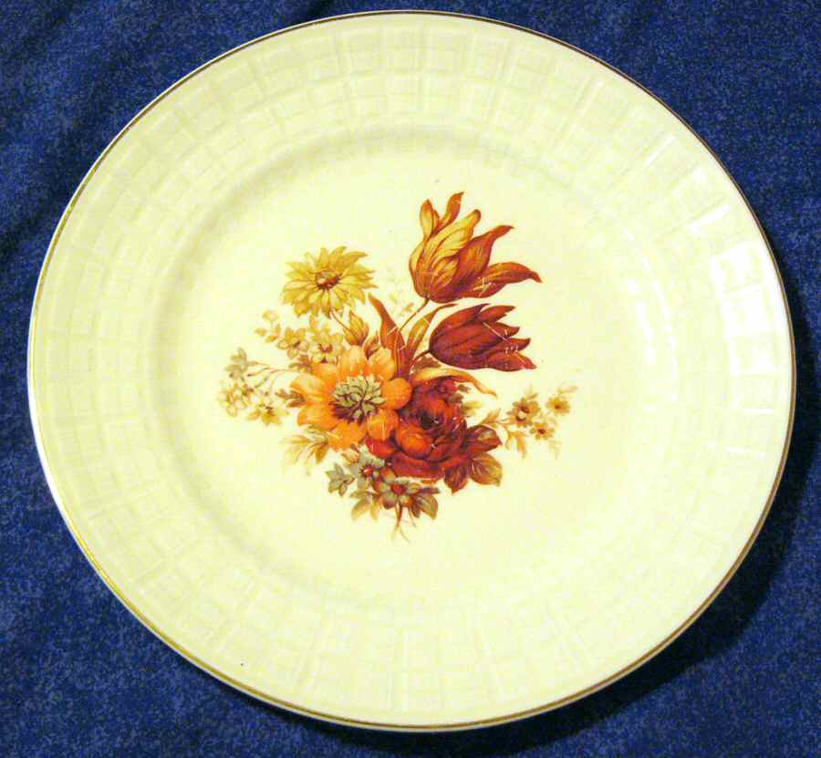 KNO164 Dinner Plate by Edwin Knowles-1
