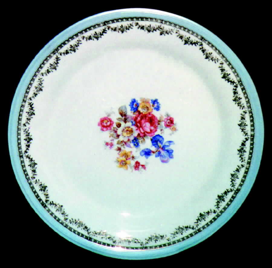 KNO167 Dinner Plate by Edwin Knowles-1