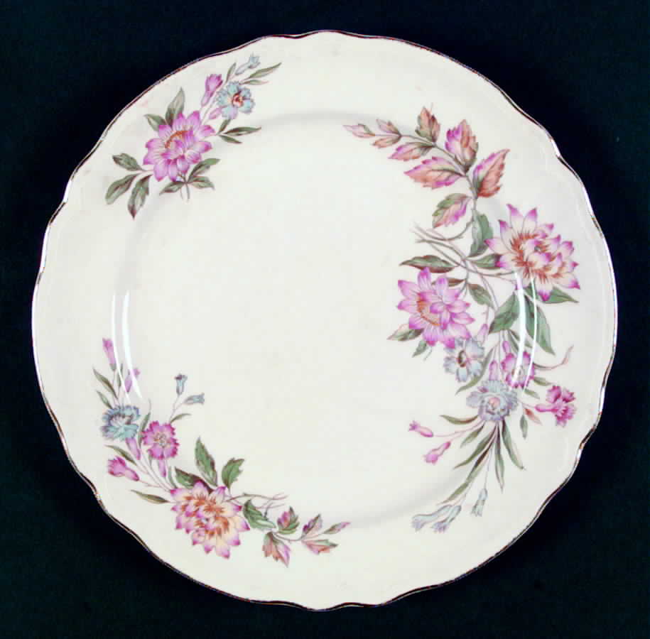 KNO17 Dinner Plate by Edwin Knowles-1