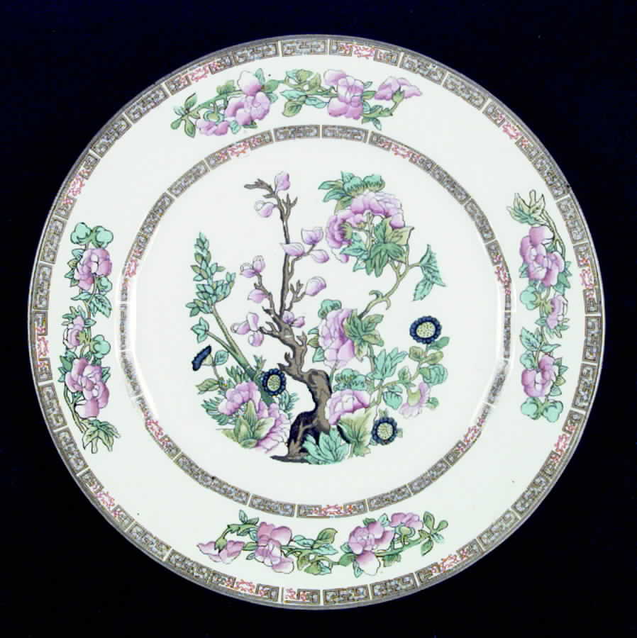 KNO175 Dinner Plate by Edwin Knowles-1