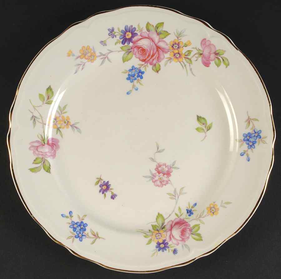 KNO176 Dinner Plate by Edwin Knowles-1