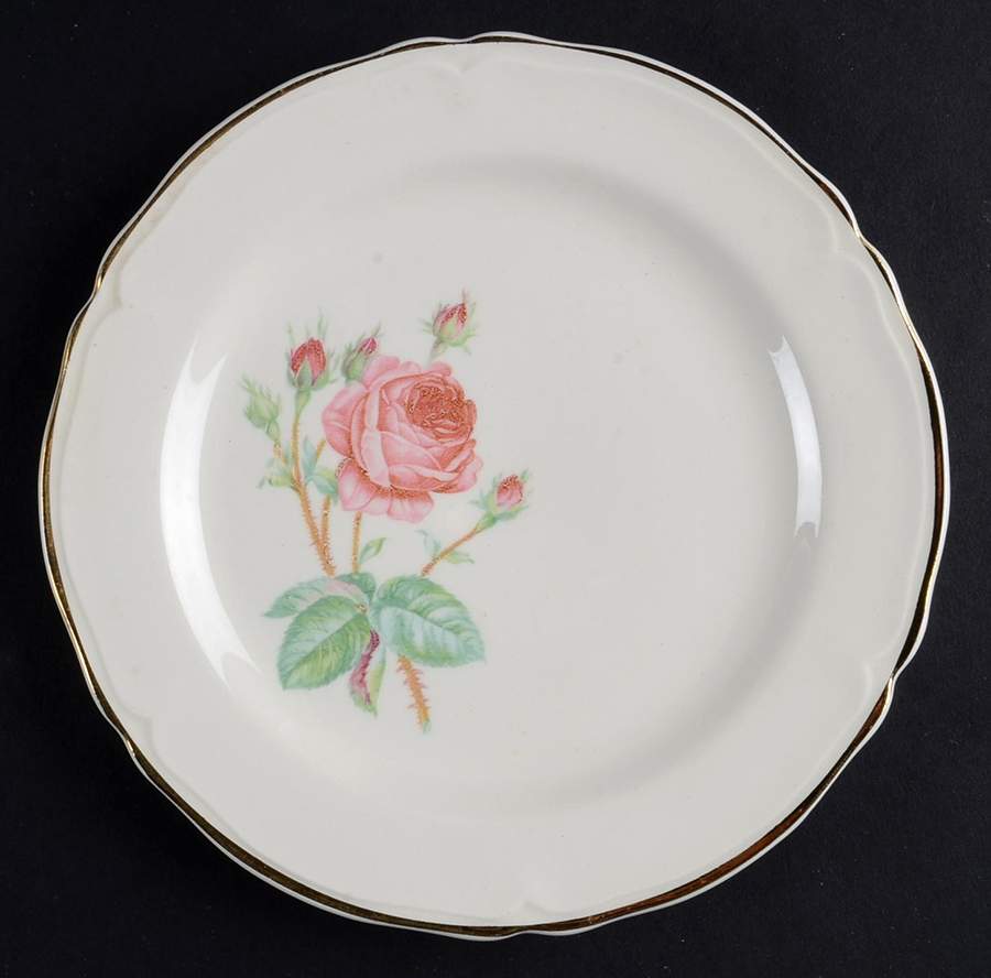 KNO178 Salad Plate by Edwin Knowles-1