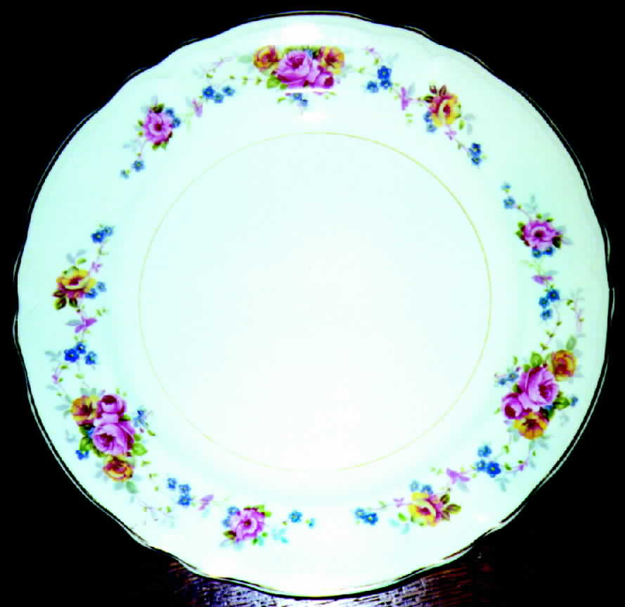 KNO181 Dinner Plate by Edwin Knowles-1