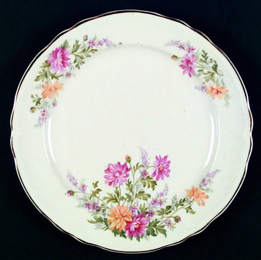 KNO203 Dinner Plate by Edwin Knowles-1