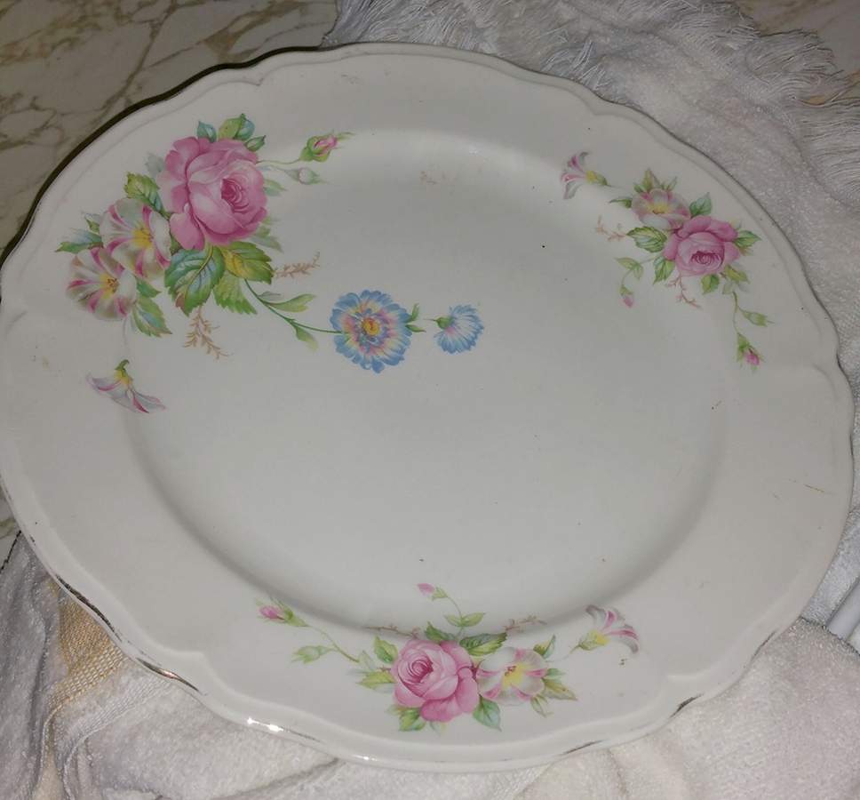 KNO210 Dinner Plate by Edwin Knowles-1