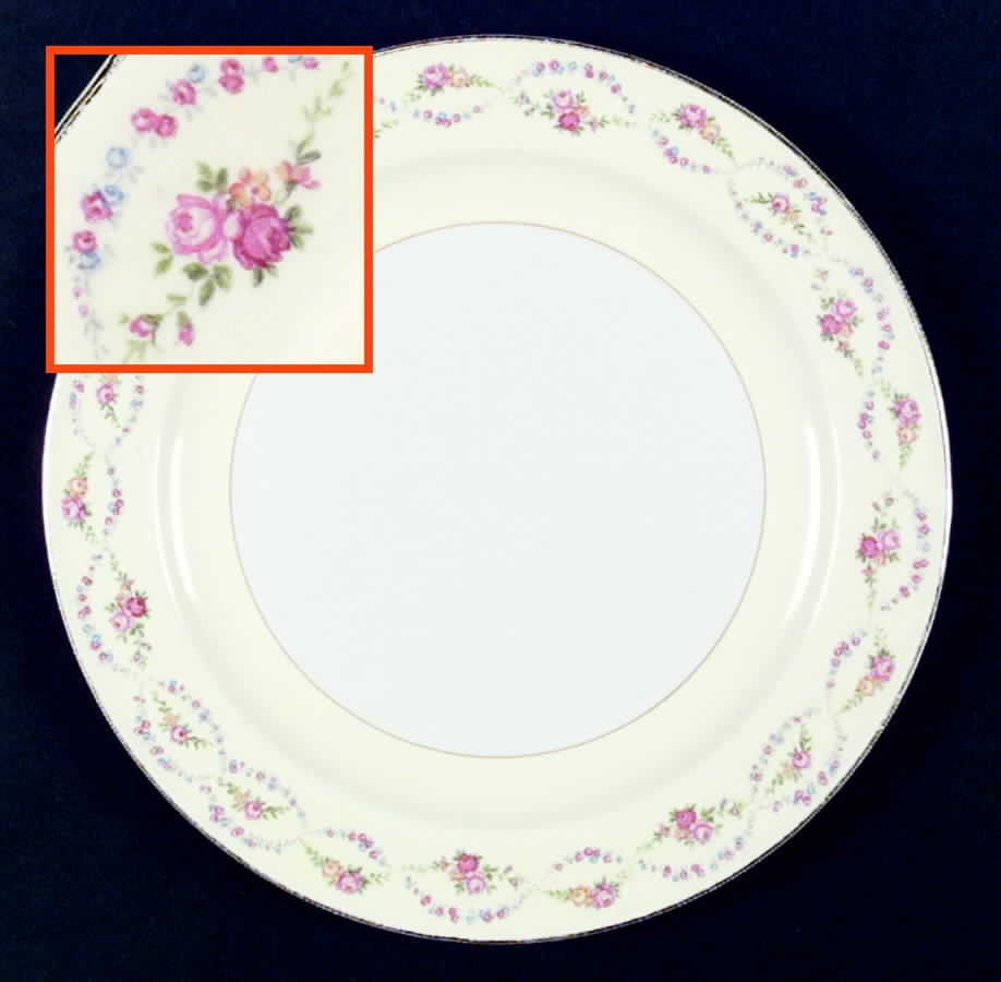 KNO213 Dinner Plate by Edwin Knowles-1