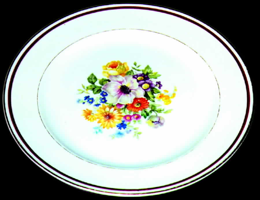 KNO217 Dinner Plate by Edwin Knowles-1