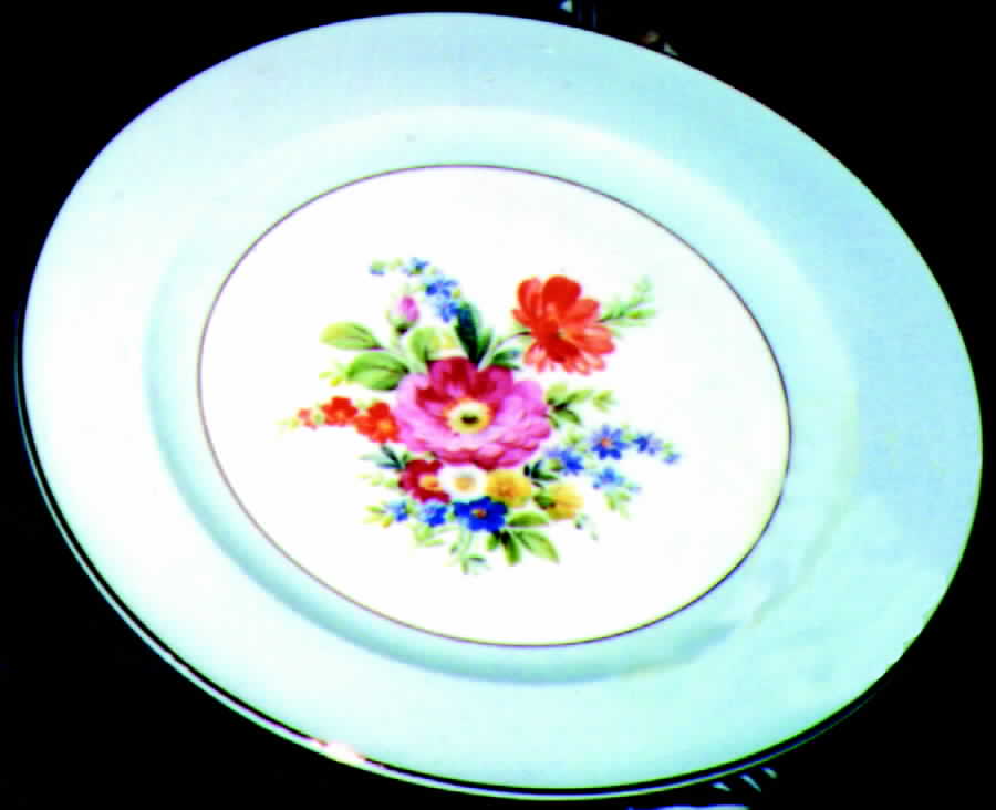 KNO218 Dinner Plate by Edwin Knowles-1