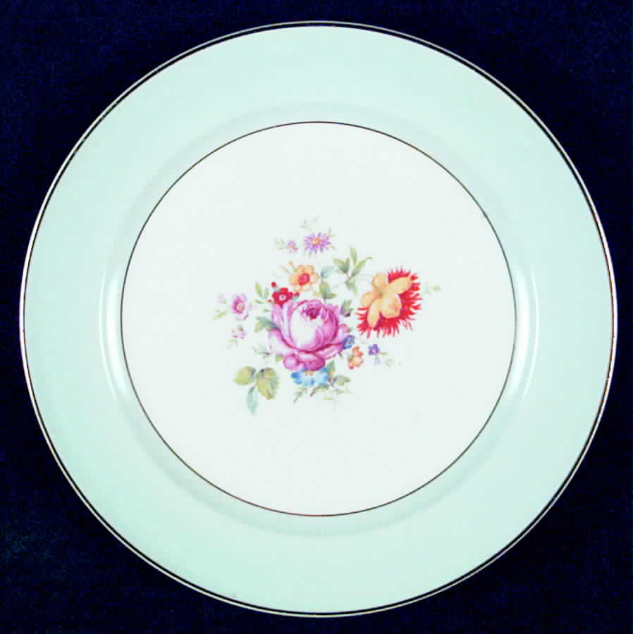 KNO218 Salad Plate by Edwin Knowles-1