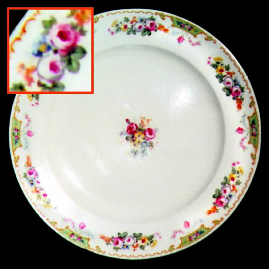 KNO220 Dinner Plate by Edwin Knowles-1