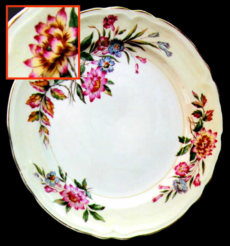 KNO223 Dinner Plate by Edwin Knowles-1