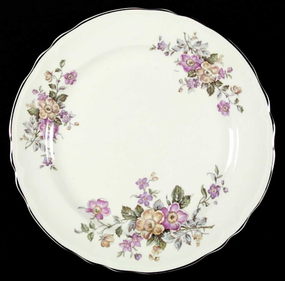 KNO23 Dinner Plate by Edwin Knowles-1