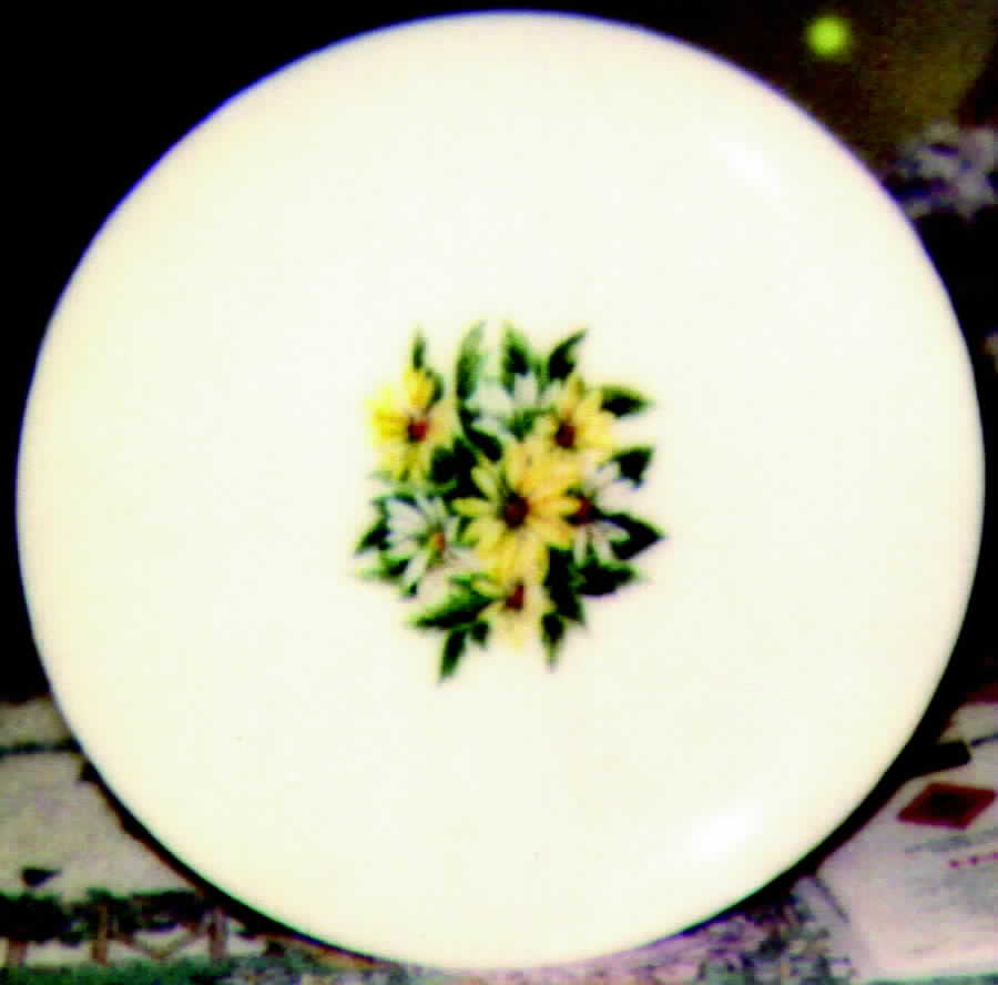 KNO235 Dinner Plate by Edwin Knowles-1