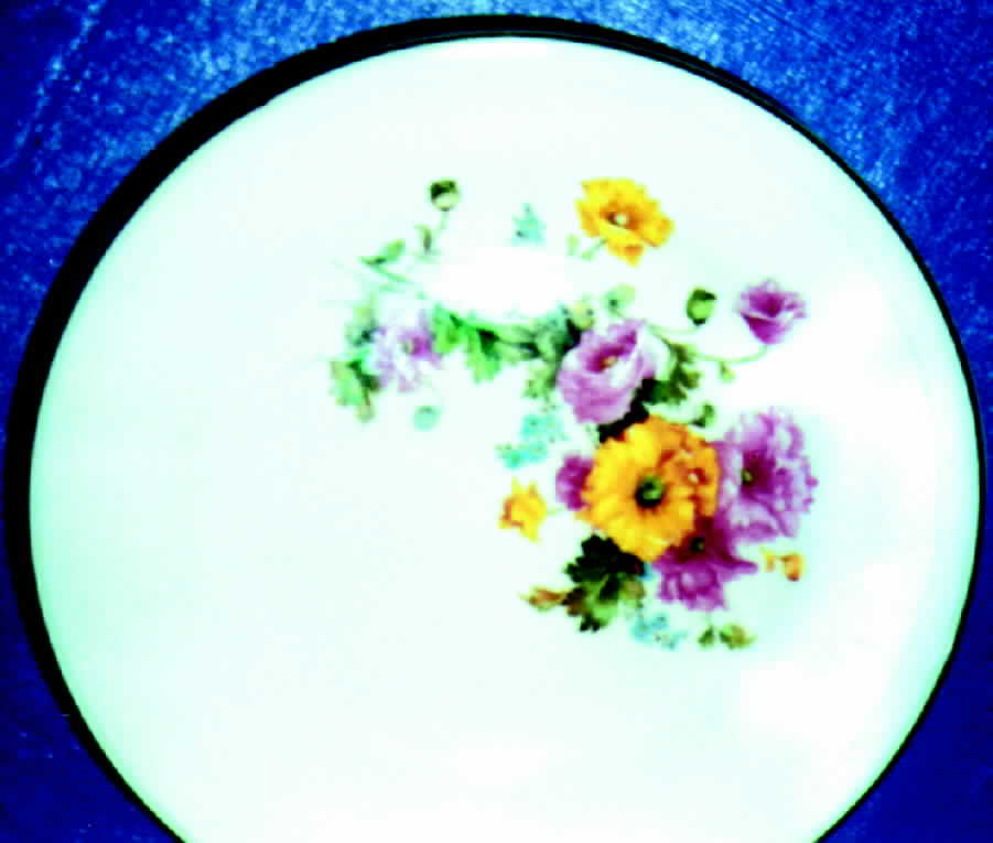 KNO237 Dinner Plate by Edwin Knowles-1