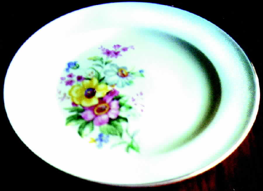 KNO238 Dinner Plate by Edwin Knowles-1