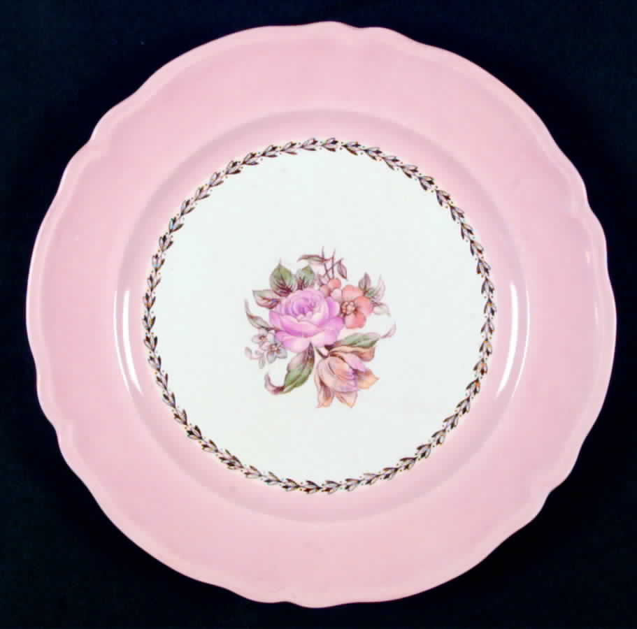 KNO253 Dinner Plate by Edwin Knowles-1