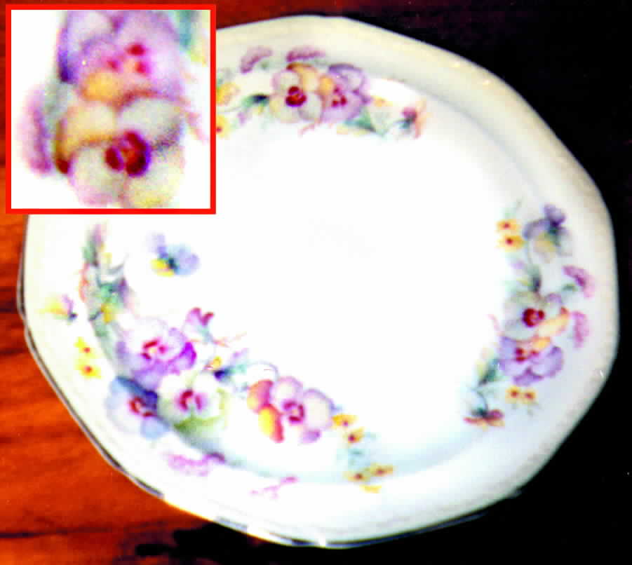 KNO257 Dinner Plate by Edwin Knowles-1