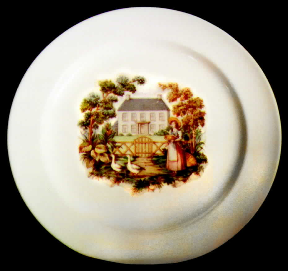 KNO263 Dinner Plate by Edwin Knowles-1