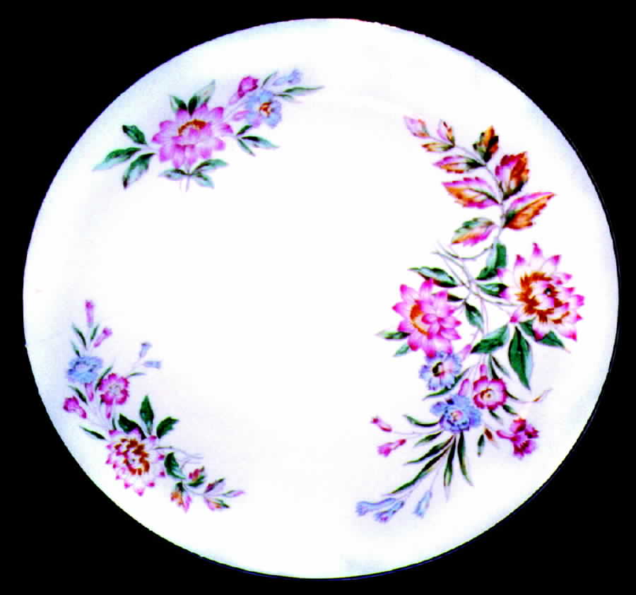 KNO272 Dinner Plate by Edwin Knowles-1