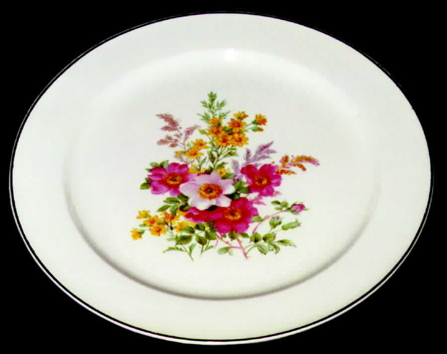 KNO275 Dinner Plate by Edwin Knowles-1