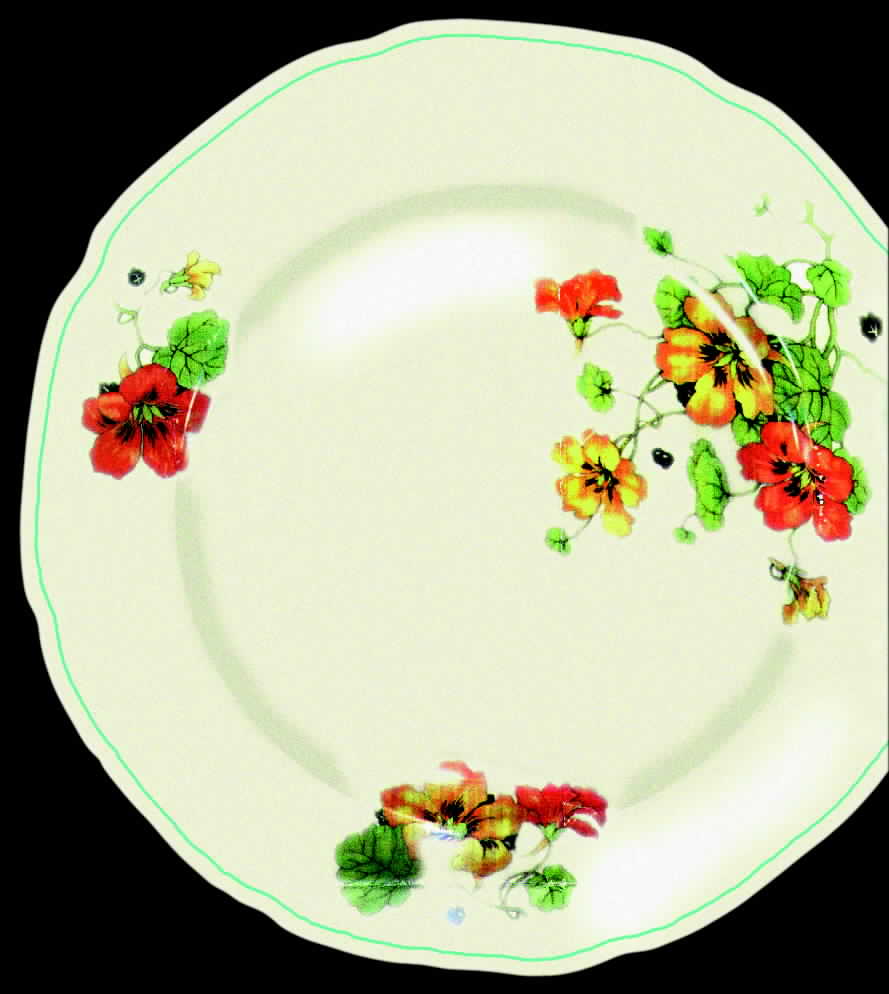 KNO276 Dinner Plate by Edwin Knowles-1
