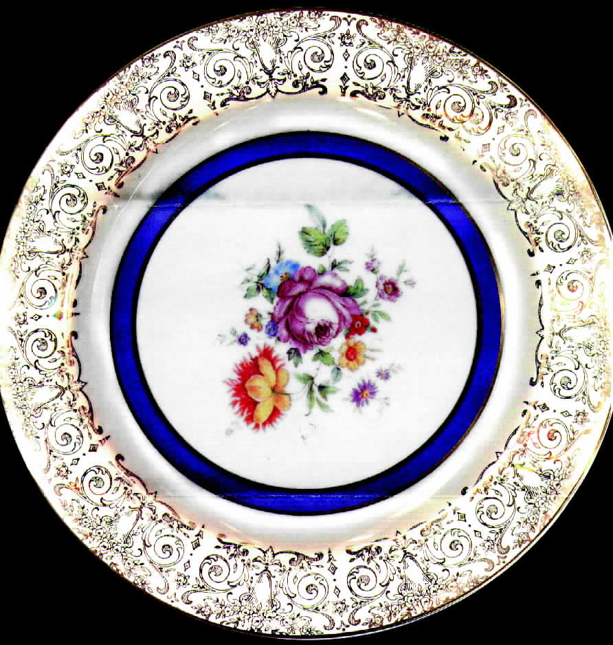 KNO279 Dinner Plate by Edwin Knowles-1