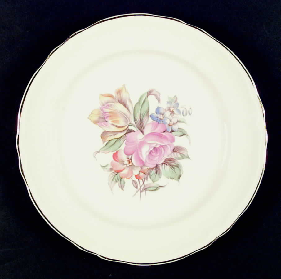 KNO28 Dinner Plate by Edwin Knowles-1