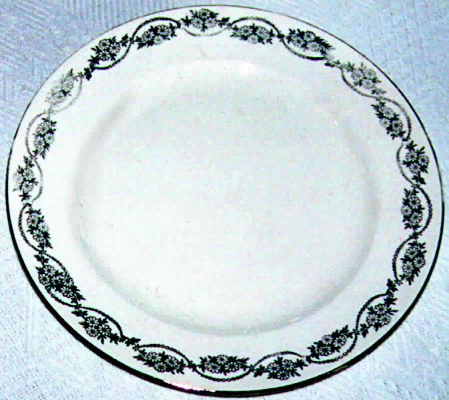 KNO282 Dinner Plate by Edwin Knowles-1