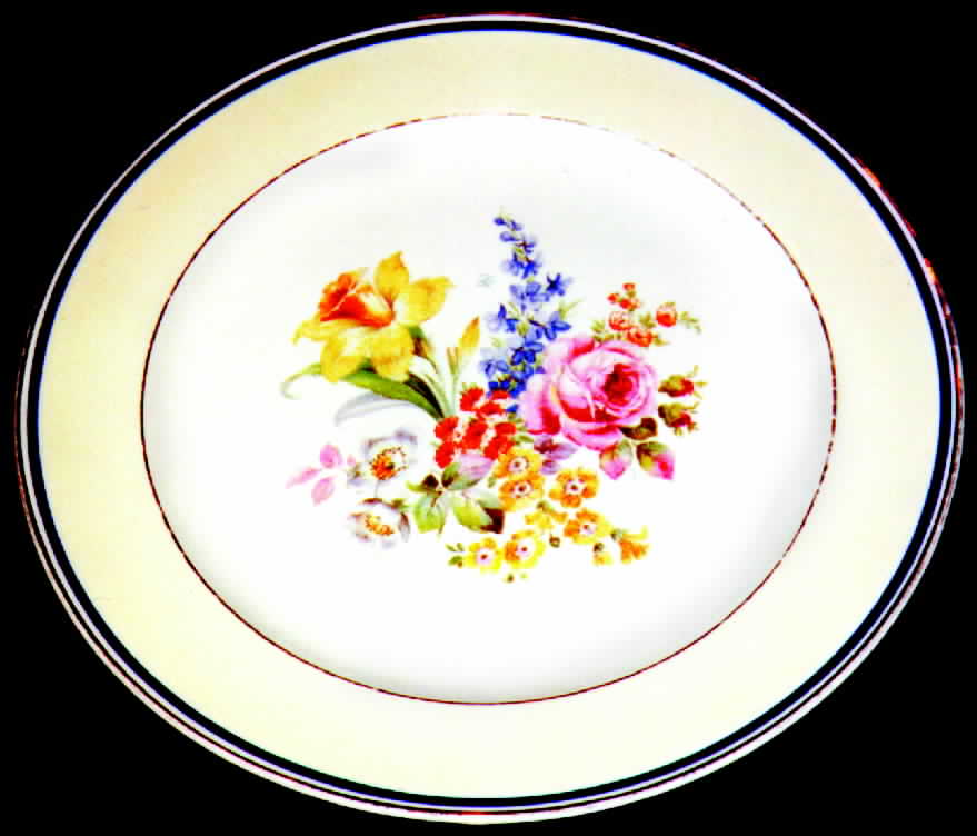 KNO286 Dinner Plate by Edwin Knowles-1