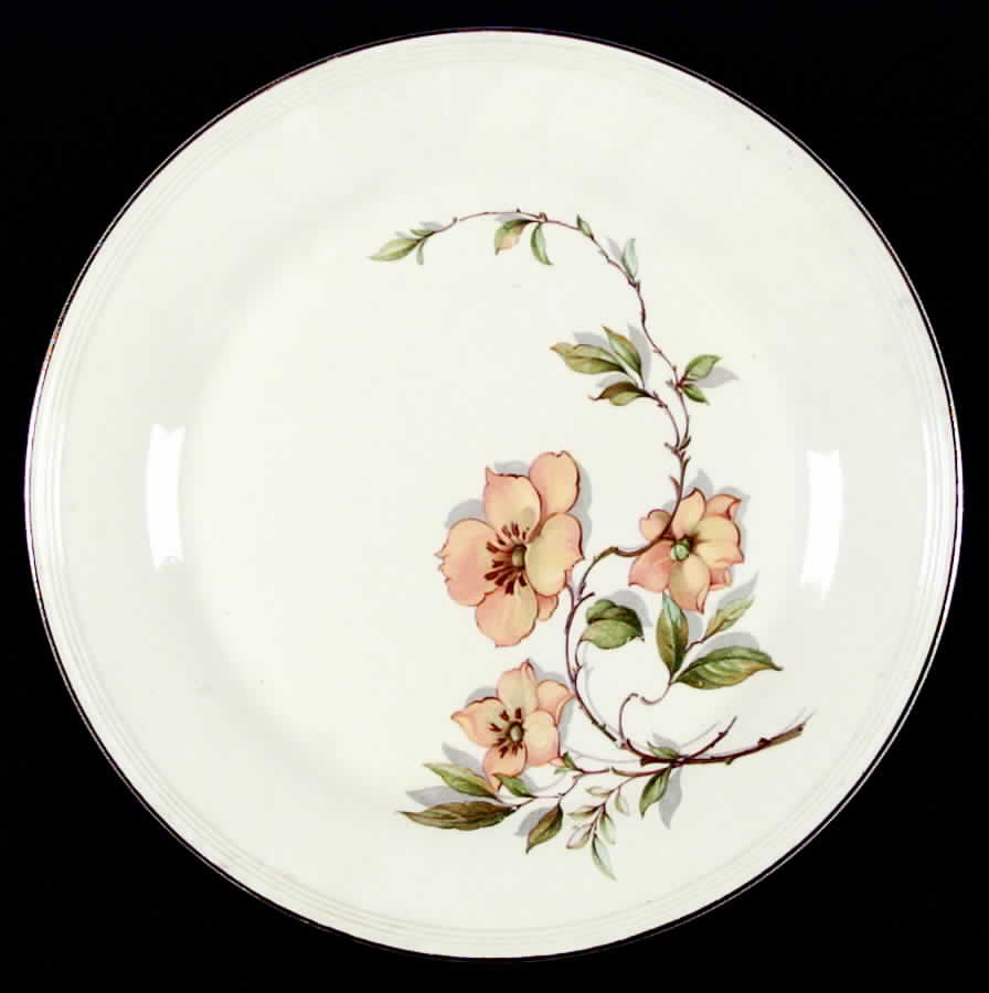 KNO3 Dinner Plate by Edwin Knowles-1
