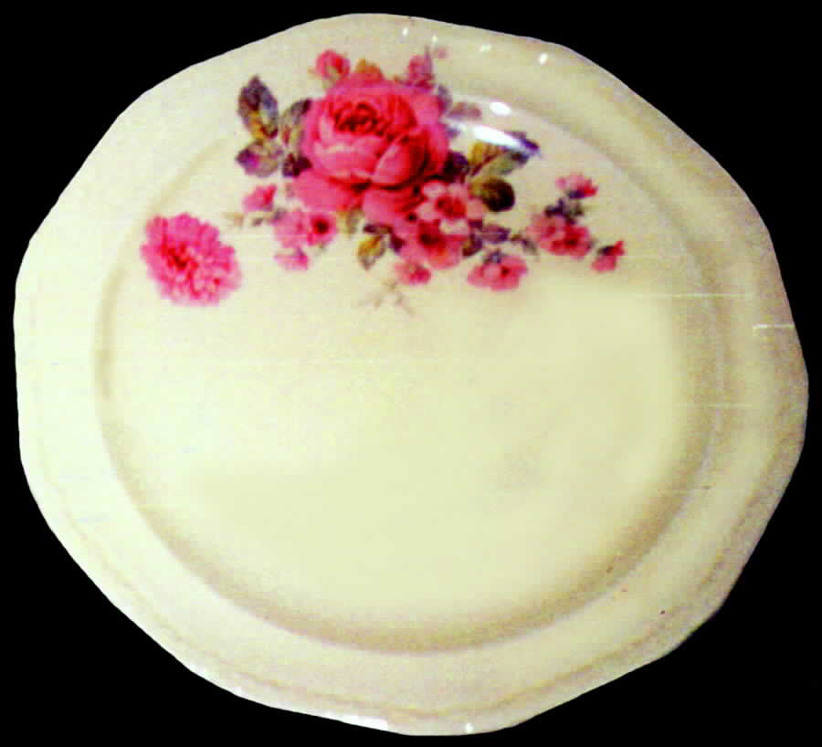 KNO302 Dinner Plate by Edwin Knowles-1