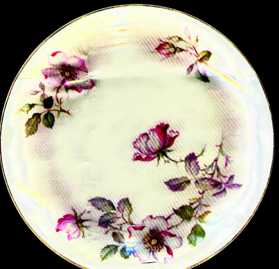 KNO312 Salad Plate by Edwin Knowles-1