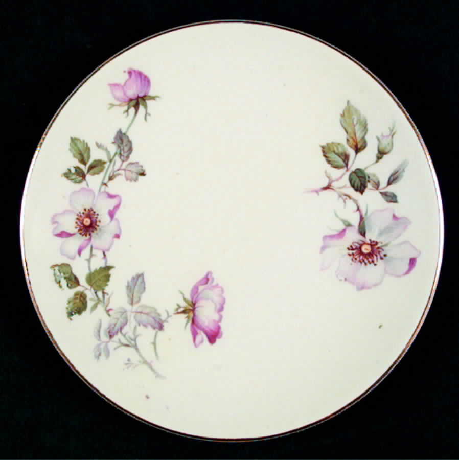 KNO312 Bread & Butter Plate by Edwin Knowles-1