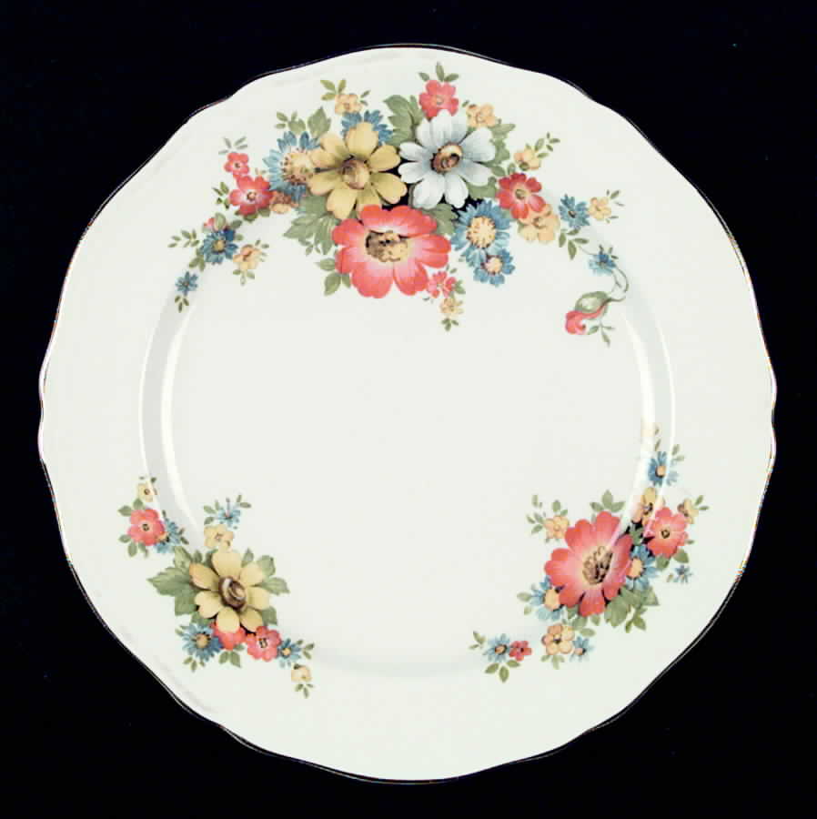 KNO315 Dinner Plate by Edwin Knowles-1