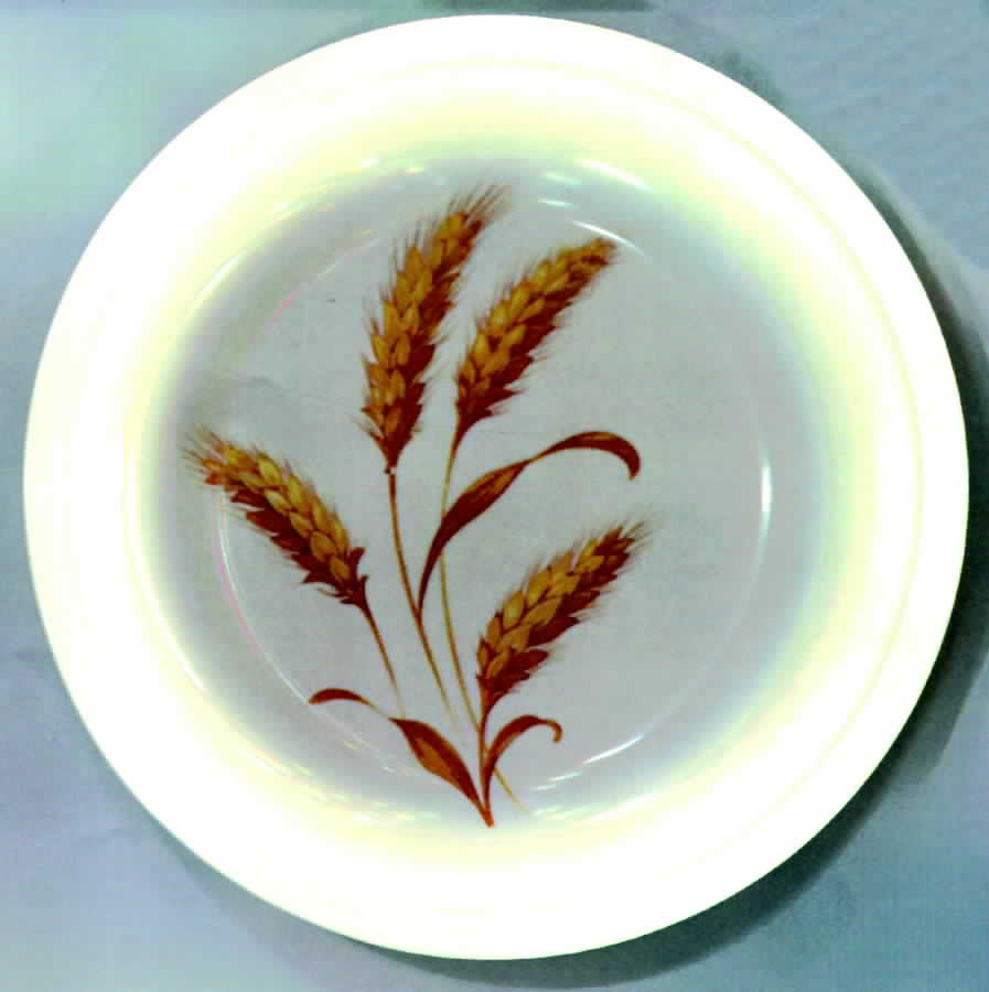 KNO33 Bread & Butter Plate by Edwin Knowles-1