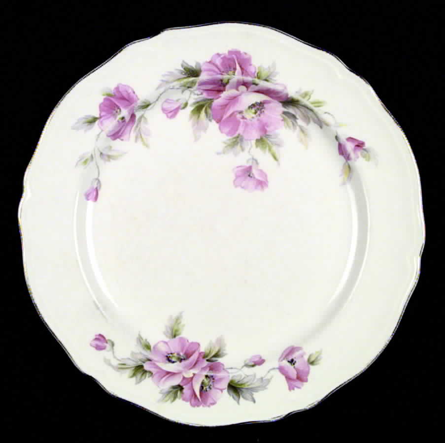1657-E1 Dinner Plate by Edwin Knowles-1