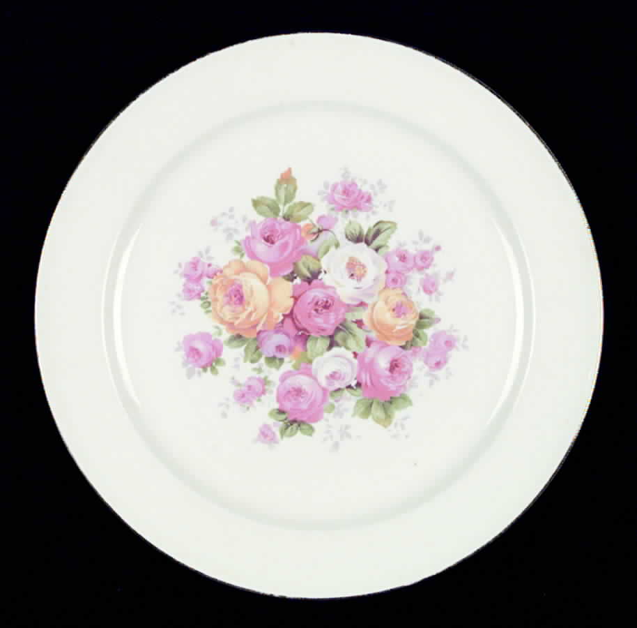 KNO404 Dinner Plate by Edwin Knowles-1