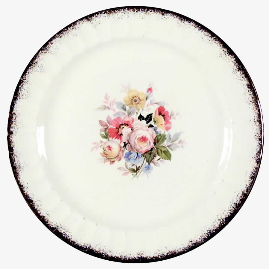 KNO49 Dinner Plate by Edwin Knowles-1