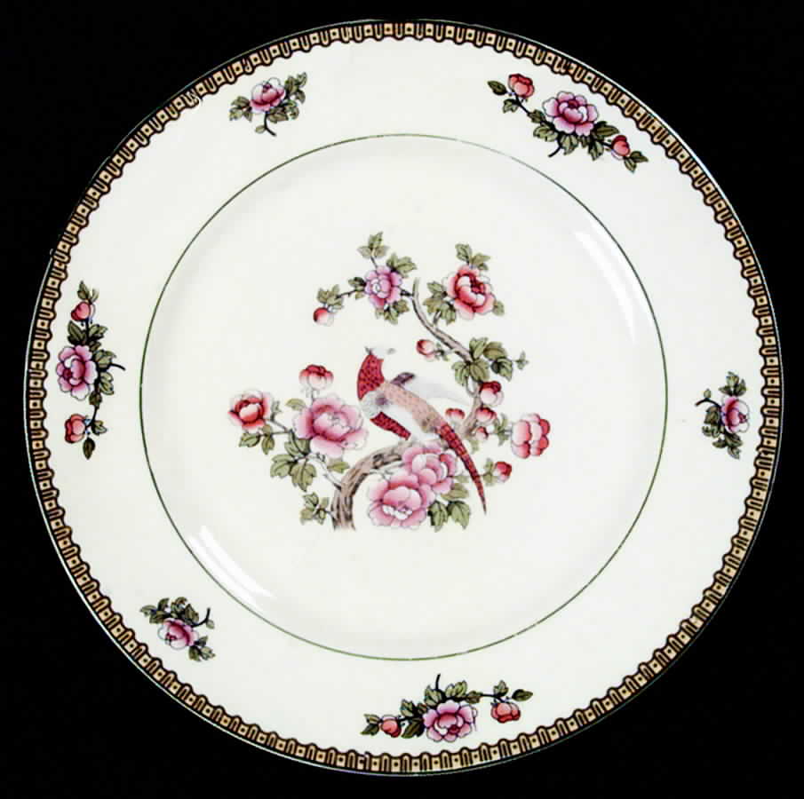 KNO61 Dinner Plate by Edwin Knowles-1