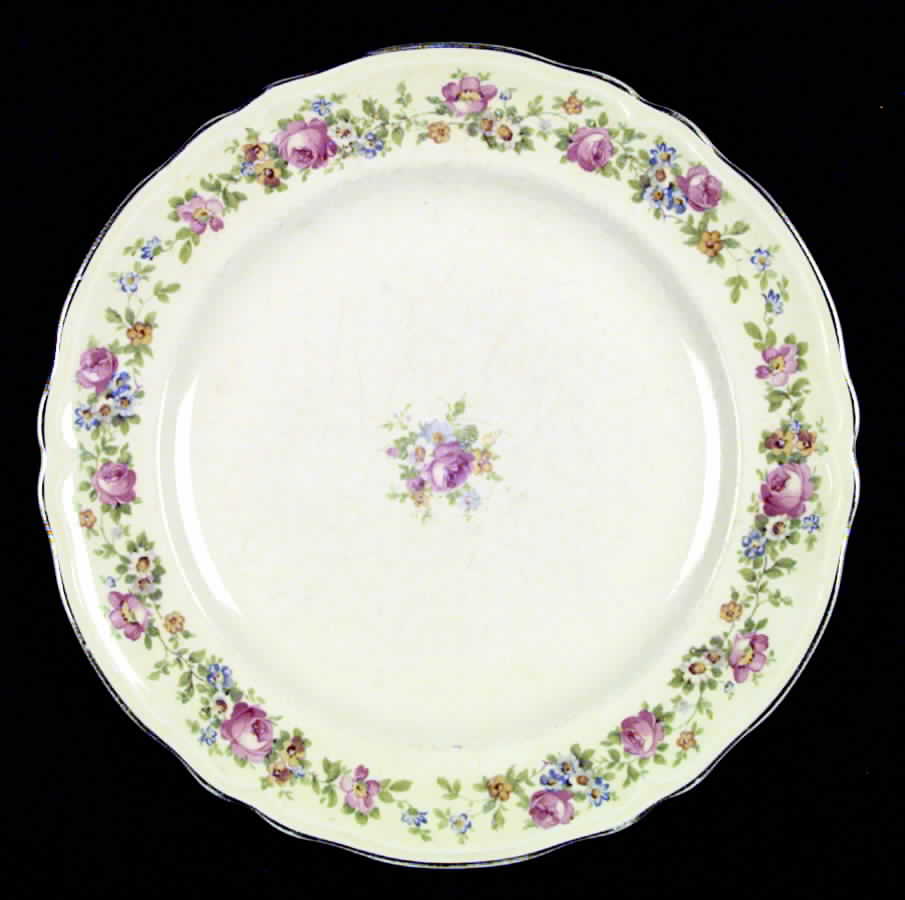304C1 Dinner Plate by Edwin Knowles-1