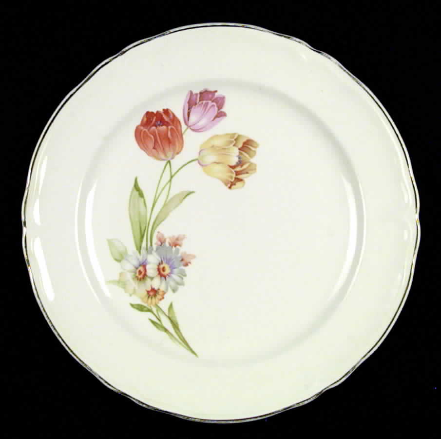 KNO73 Dinner Plate by Edwin Knowles-1