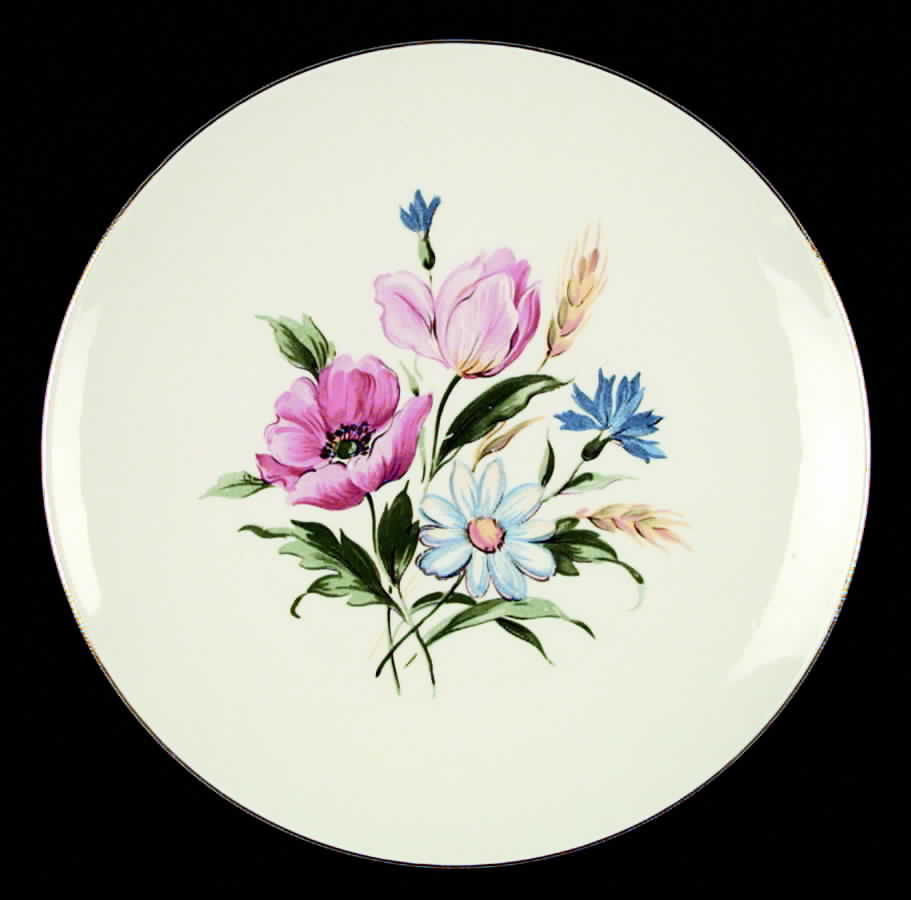 KNO79 Dinner Plate by Edwin Knowles-1