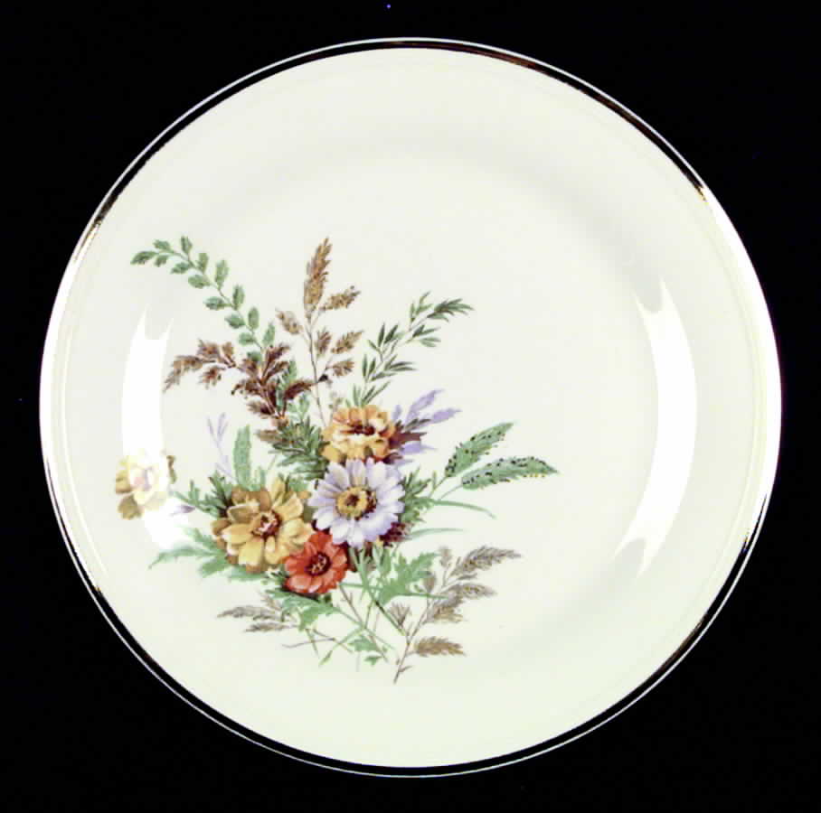 KNO88 Dinner Plate by Edwin Knowles-1