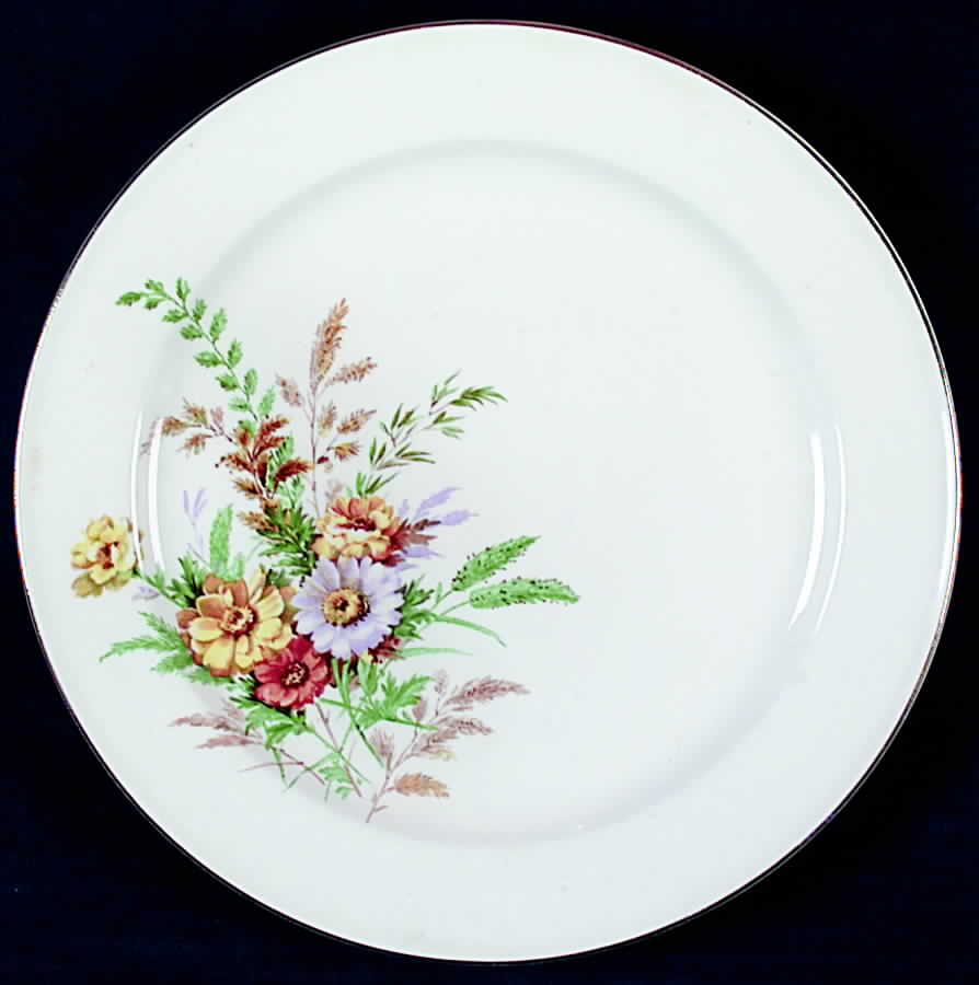KNO98 Dinner Plate by Edwin Knowles-1