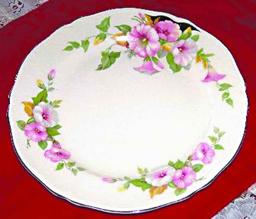 Morning Glory (Platinum Trim) Dinner Plate by Edwin Knowles-1
