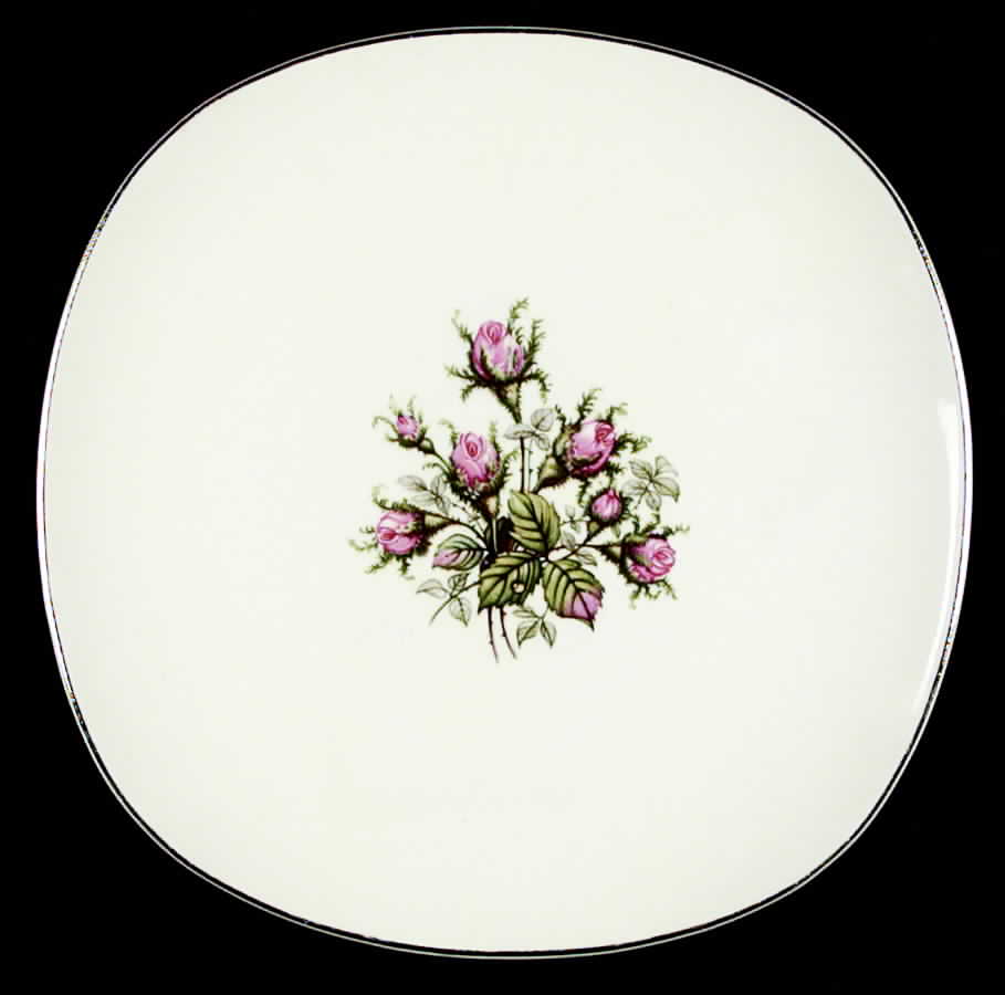 Moss Rose Dinner Plate by Edwin Knowles-1