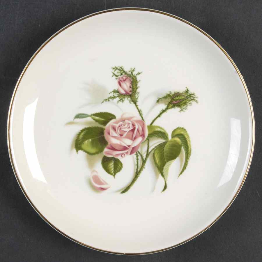 Moss Rose Bread & Butter Plate by Edwin Knowles-1