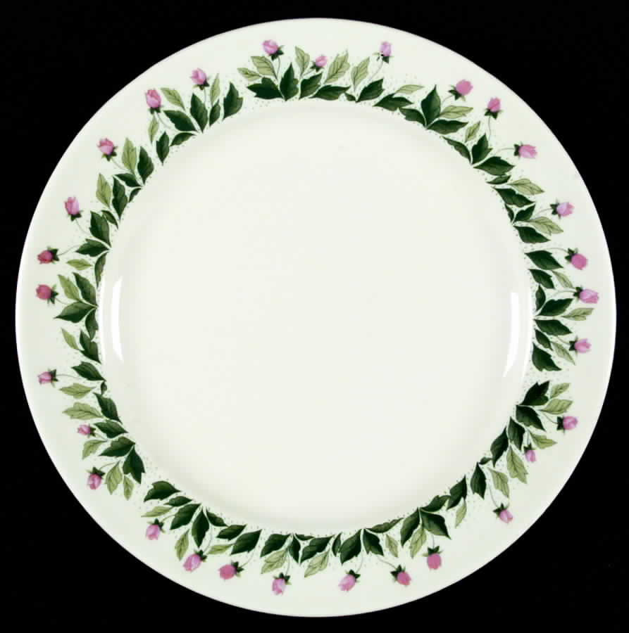 Rose Path Dinner Plate by Edwin Knowles-1