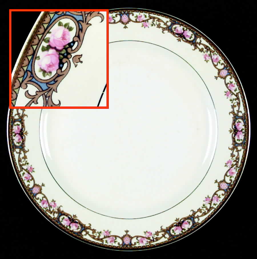 S227 1-2 Dinner Plate by Edwin Knowles-1