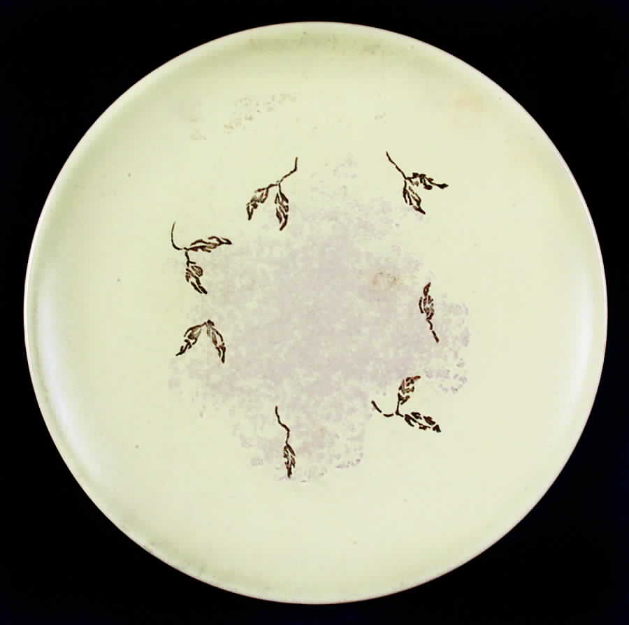 Seeds Salad Plate by Edwin Knowles-1